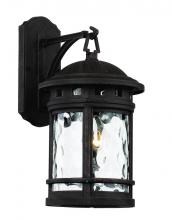  40371 RT - Boardwalk Collection 1-Light, Hook Hanging Wall Lantern with Water Glass